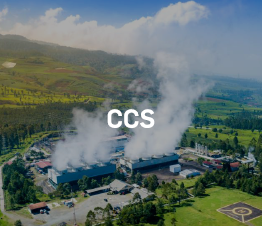 ccs test