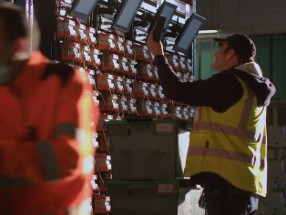 worker on a wing survey operation